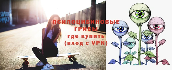 первитин Алексин