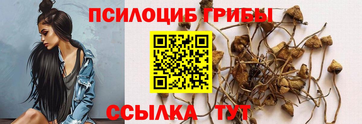 Старый Оскол  Галлюциногенные грибы Cubensis  Галлюциногенные грибы Psilocybine cubensis  закладка  Вход с VPN 