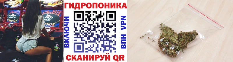 Бошки марихуана SATIVA & INDICA  ОМГ ОМГ рабочий сайт  Старый Оскол 